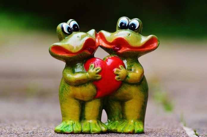 Two frogs in love, accountable to each other