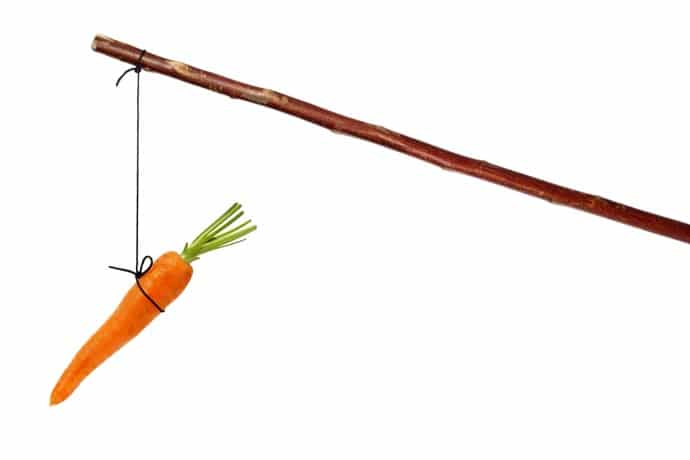 carrot stick